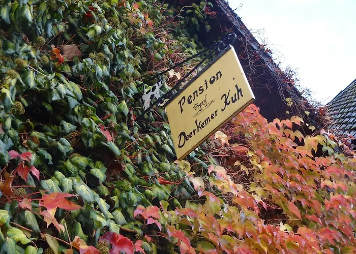 Deerkemer Kuh Dorn-Durkheim