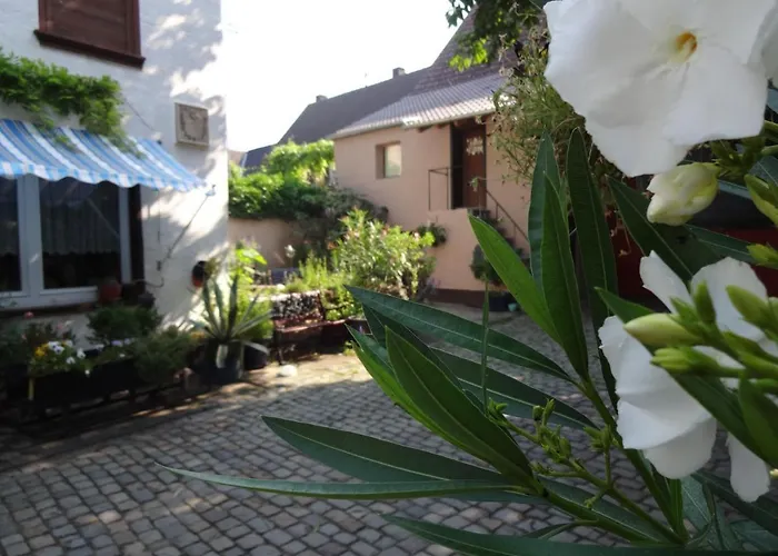 Deerkemer Kuh Dorn-Durkheim